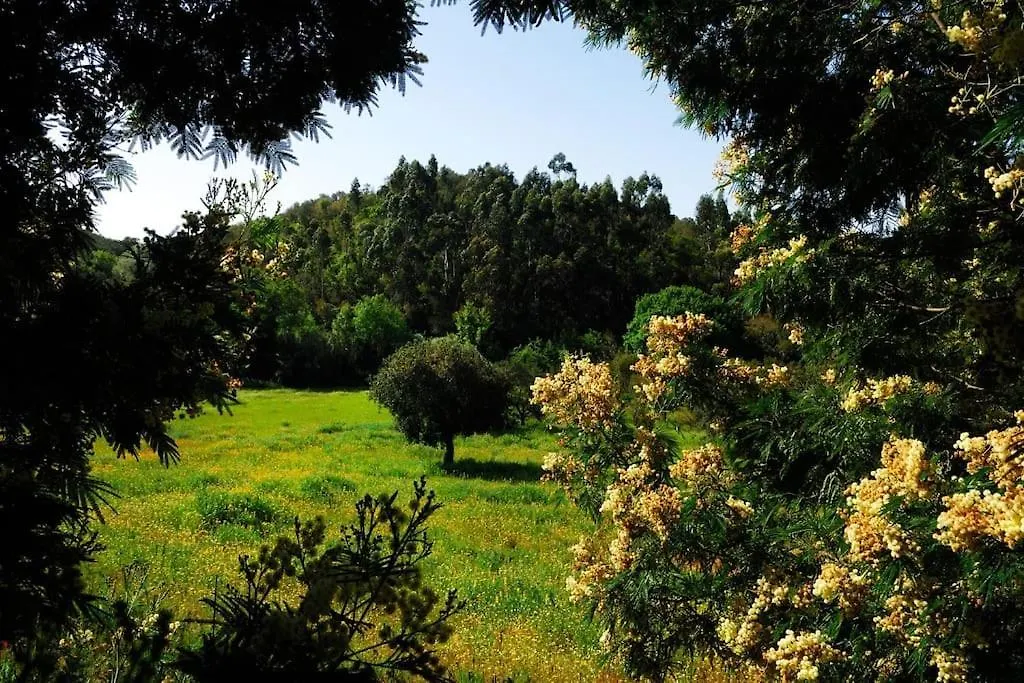 Holiday home In Der Natur Und Nah Am Meer: Casa Sul Aljezur Portugal