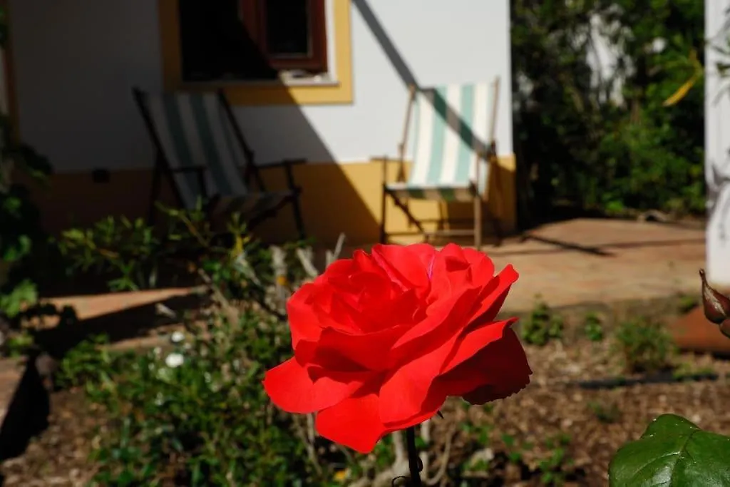 In Der Natur Und Nah Am Meer: Casa Sul Aljezur 0*,